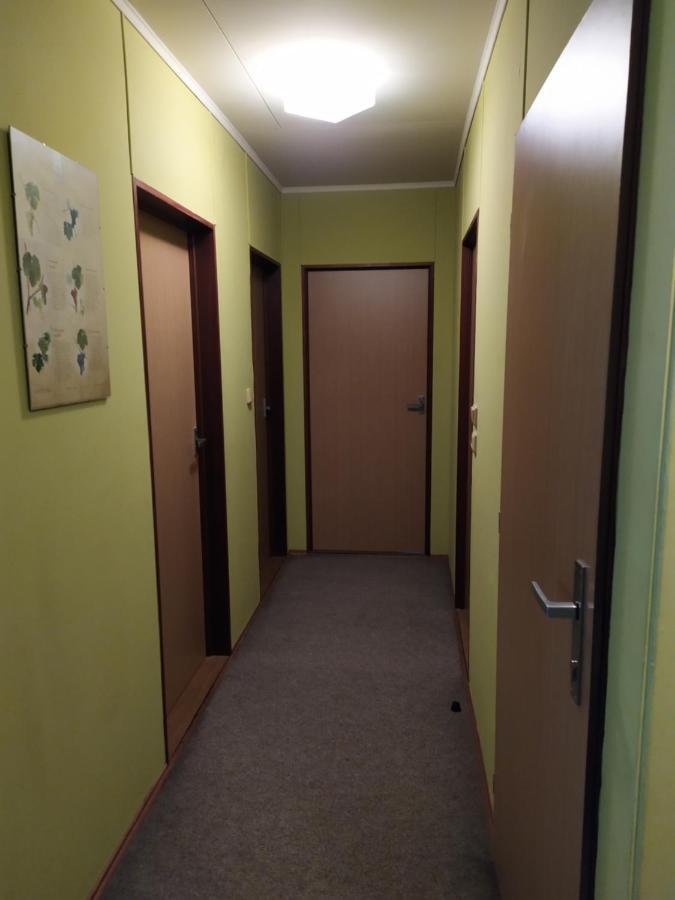 Apartmany Bobule Destne v Orlickych horach Exteriör bild